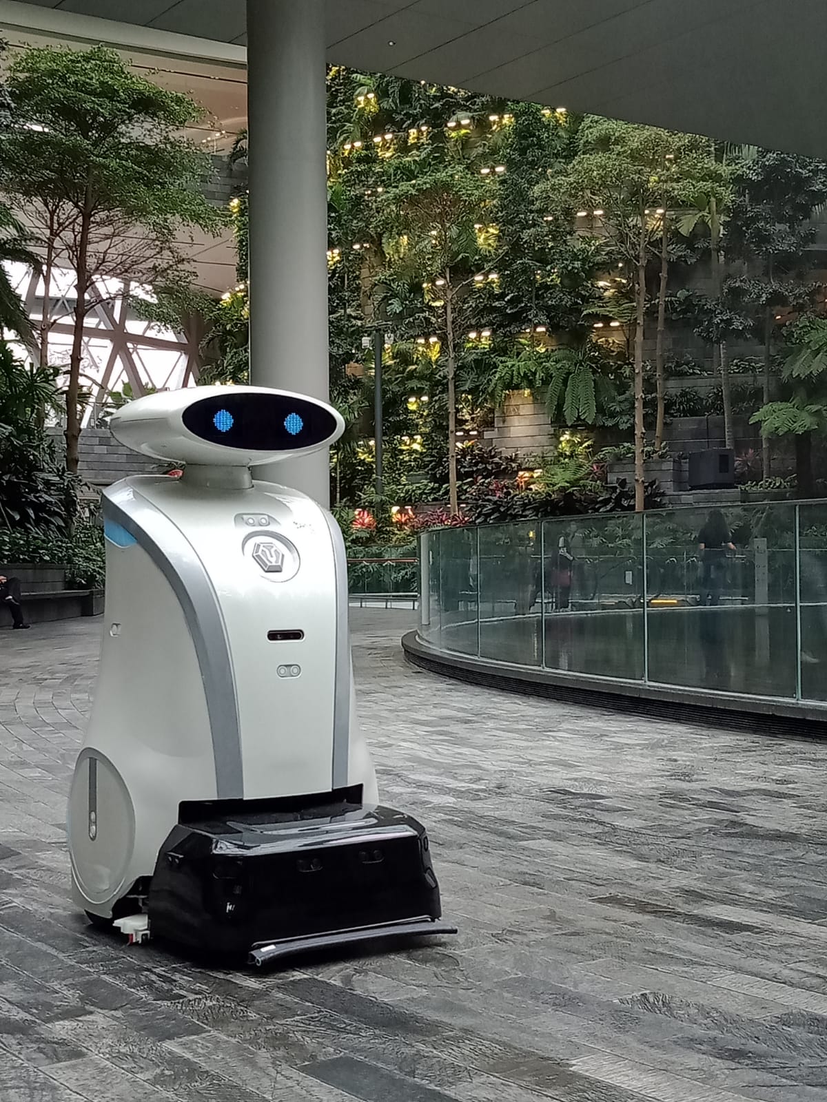 Robot that deals cleans the floor